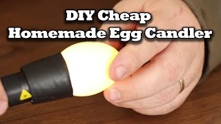 DIY Cheap Homemade Egg Candler [upl. by Adnovaj663]