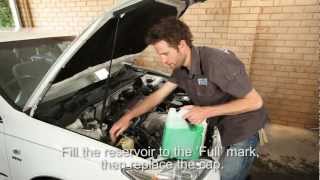 How to Check your Cars Coolant Level [upl. by Notslar]