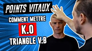 Comment faire un KO avec 4 POINTS DE PRESSION à la TÊTE Kyusho Jitsu [upl. by Eenolem16]