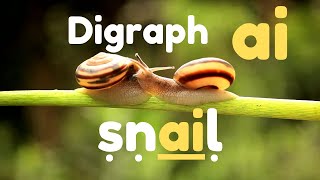 Digraph ai  Phonics Lesson for Kids phonicsreading [upl. by Ahsiekahs316]