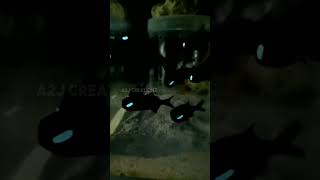 5 Interesting Facts About Flashlight Fish [upl. by Orsino]