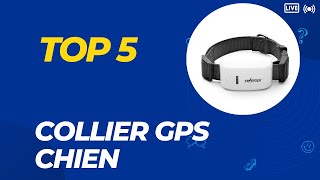 Top 5 Meilleur Collier GPS Chien 2024  Les 5 Collier GPS Chien Modèles [upl. by Rustin]