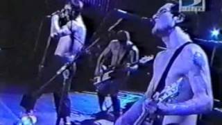 Red Hot Chili Peppers  Rock in Rio 2001 [upl. by Marcoux]