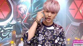 【TVPP】EXO  Growl 엑소  으르렁  Comeback Stage Show Music Core Live [upl. by Akima]