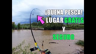 BUENA PESCA lugar GRATIS y SEGURO  dique lujan TIGRE RIO LUJAN  villa la ñata pesca variada [upl. by Aracat]