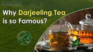 Why Darjeeling Tea is Famous in the World  Darjeeling Tea Recipe  Golden Tips Tea [upl. by Neira]