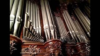 J P Rameau  quotLe Rappel des Oiseauxquot by Kauff  Organ [upl. by Sergeant578]