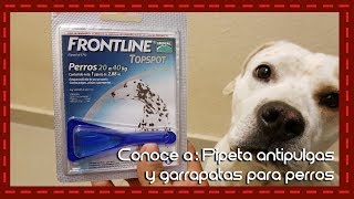 Conoce a Pipeta antipulgas garrapatas y piojos para perros Frontline [upl. by Hterrag]