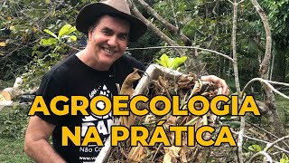 AGROECOLOGIA NA PRÁTICA COMO CULTIVAR PANC SUSTENTAVELMENTE [upl. by Partridge]