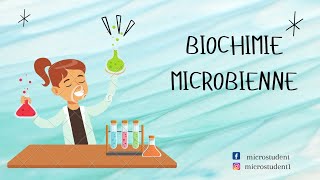 cour 1 partie 13biochimie microbienne  L3 microbio [upl. by Ardnosal]