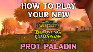 How to Play Your New Prot Paladin Tank [upl. by Ahsilrak330]