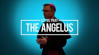 Pray  The Angelus with Bishop Reed [upl. by Brownson]