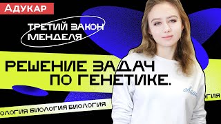 Решение задач по генетике  Третий закон Менделя  Биология ЕГЭ ЦТ ЦЭ Решение генетических задач [upl. by Pilloff]