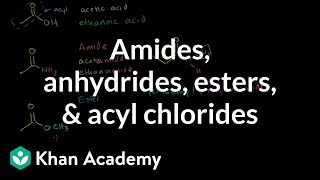 Amides anhydrides esters and acyl chlorides  Organic chemistry  Khan Academy [upl. by Ebeohp604]