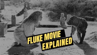 Fluke Movie Ending Explained Dog Movie Fluke Full Movie Recaps Story Explained [upl. by Lipscomb]