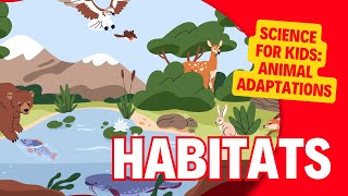 Animal Habitats  How do animals adapt to their habitat  Learn about Forests Deserts Ponds etc [upl. by Alehs]