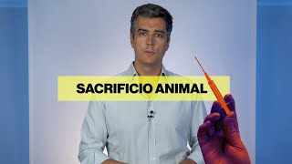 La ley de bienestar animal explicada en dos minutos [upl. by Zink843]