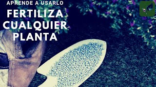 APRENDE a FERTILIZAR todo tipo de PLANTAS [upl. by Telrahc]