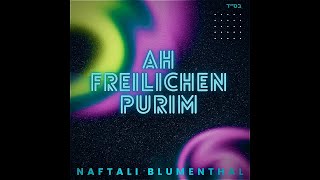 NAFTALI BLUMENTHAL  AH FREILICHEN PURIM [upl. by Elva991]