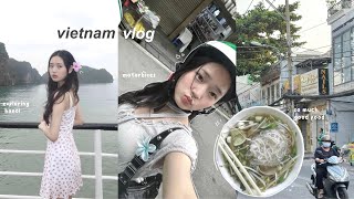 VIETNAM VLOG exploring hanoi eating too much kayaking in caves ha long bay cruise night markets [upl. by Anidal953]