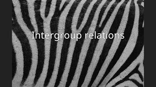 Intergroup relations [upl. by Ij]