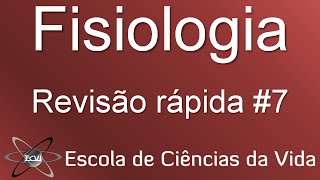 Revisão rápida de fisiologia 7 neurotransmissores [upl. by Adnolaj]