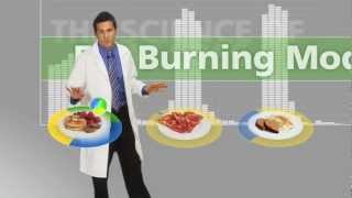 The Food Lovers Fat Loss System  Explained [upl. by Tillion663]