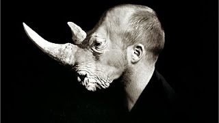 Rhinocéros de Ionesco 34 [upl. by Ynar]