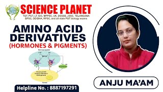 Amino Acid Derivatives Hormones amp Pigments by Anju Mam of Science Planet [upl. by Gabrielle]