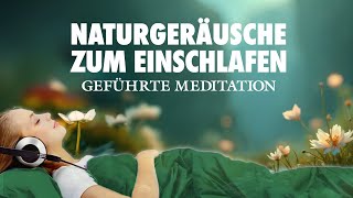 Einschlafen mit Naturgeräuschen  Geführte Meditation zum Einschlafen [upl. by Rodgers]