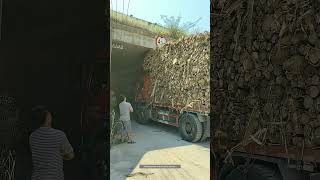 Process Of The Truck Loaded With Wood Passing Through The Bridge Opening [upl. by Narhet]