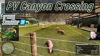 LS 22 PV Canyon Crossing  404 Mit den futter vom globalen Markt geht meinen Schweinen besser [upl. by Gruver]