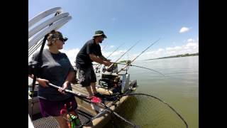 a unbelievable day of catfishing on wheeler lake alabama [upl. by Aneeuqahs]