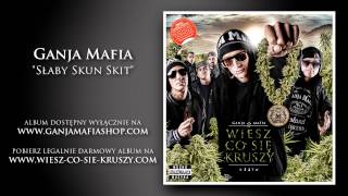 13 Ganja Mafia  Słaby Skun skit [upl. by Akcirederf929]