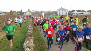 Semimarathon de Beaune 2017 [upl. by Linell]