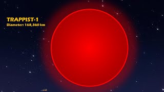 TRAPPIST1 System Size Comparison [upl. by Anits]