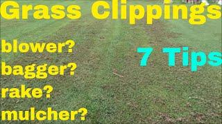 How to Deal with Grass Clippings in The Lawn [upl. by Anitnuahs275]