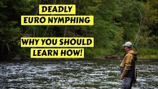 Deadly Euro Nymphing  How amp Why You Should Learn [upl. by Fenelia]