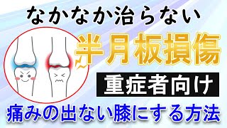 【半月板損傷】重傷者向け半月板損傷の治し方 半月板損傷と痛みは関係ない（体に負担をかけない超ソフト整体） [upl. by Yezdnil615]