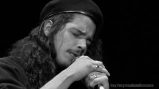 Temple of the Dog Say Hello 2 Heaven Live at Moore Theater 1990 [upl. by Calan]