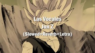 Las VocalesJon Z SlowedReverbLetra [upl. by Ariajay]