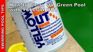 How to Clean a Green Pool Updated Version  Using YELLOW OUT [upl. by Leuqcar114]