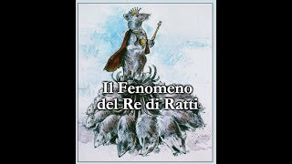 Il Fenomeno del Re di Ratti feat VEON ELADRAAL [upl. by Ruamaj300]