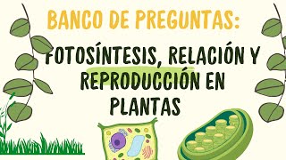 Práctica de biología Fotosíntesis relación y reproducción en plantas [upl. by Barvick]