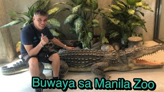 Buwaya sa Manila Zoo [upl. by Gunter789]