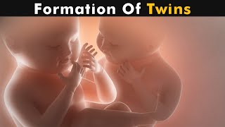 How Identical Twins are Produced Monozygotic Twins  neet mbbs biology [upl. by Izogn]