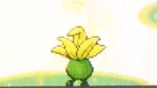 Random Shiny Oddish Pokemon Emerald [upl. by Teodor]