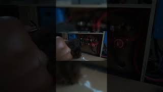 Solar Controller  Van Conversion  Ep 10 Part 4 vanconversion vanbuild electrical sille [upl. by Atnuhs]