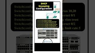 What Do You Know About DHCP SnOOPING🔥  Network Configs  IPCiscocom dhcp ccna [upl. by Ilah]