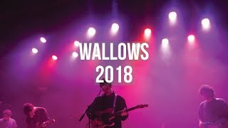 Wallows Concert 2018 Highlights  TORONTO [upl. by Yob]